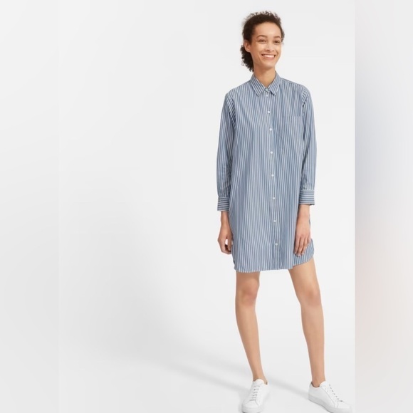 Everlane Striped Cotton Shirtdress, button Front, classic look, size 2 (A-5) - Picture 1 of 12